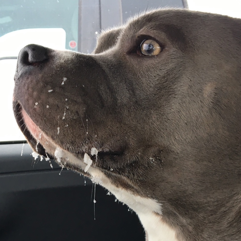 Meet your Posher, Marlyss